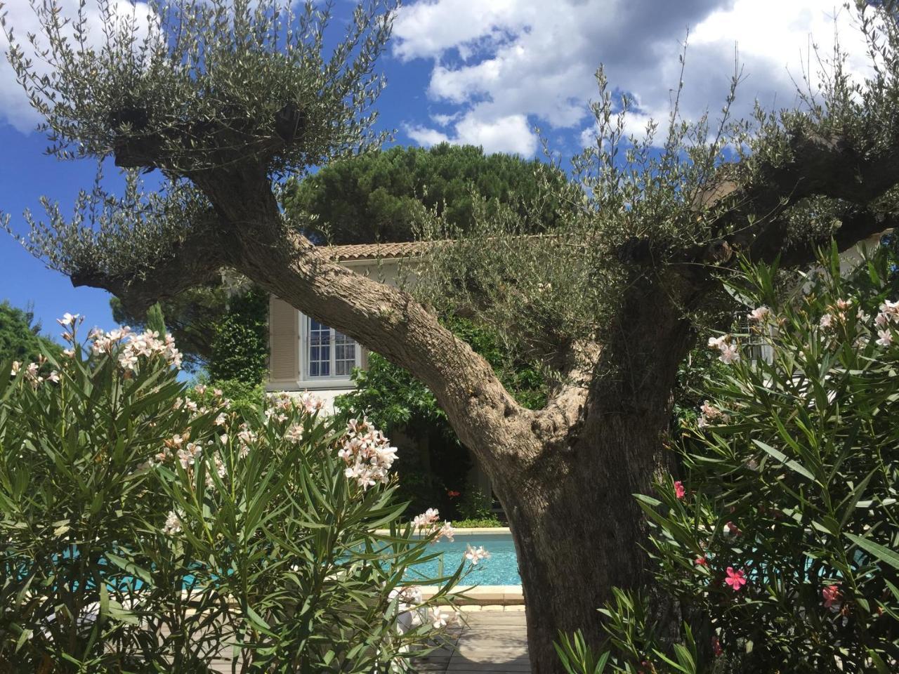 Villa La Begude - Boutique Luxury B&B Saint-Tropez Eksteriør bilde